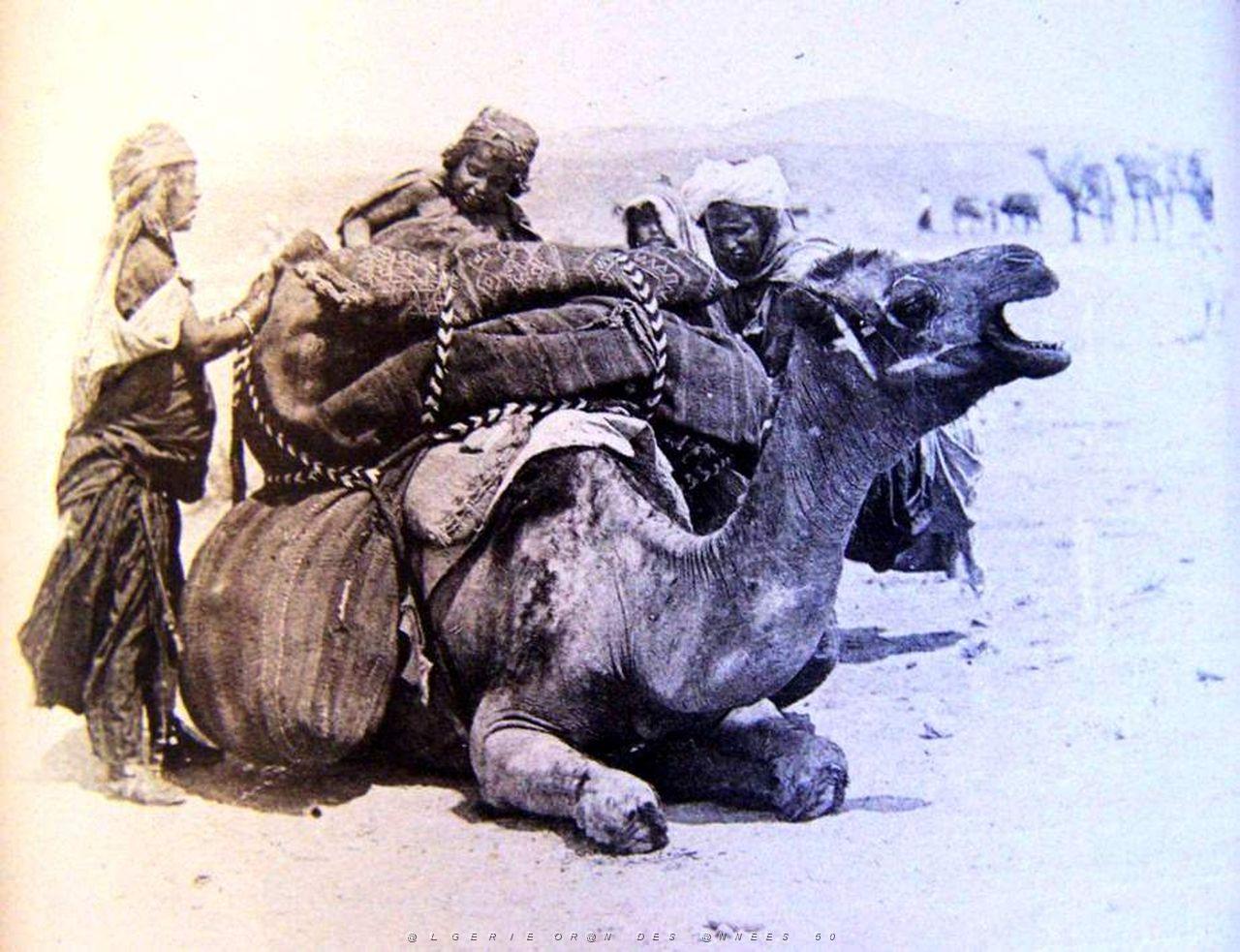 Images d'Algerie 027.jpg